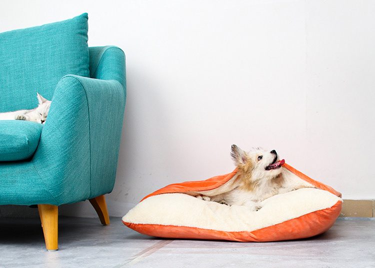Cama Travesseiro Canguru - Pet Premium™