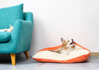 Cama Travesseiro Canguru - Pet Premium™