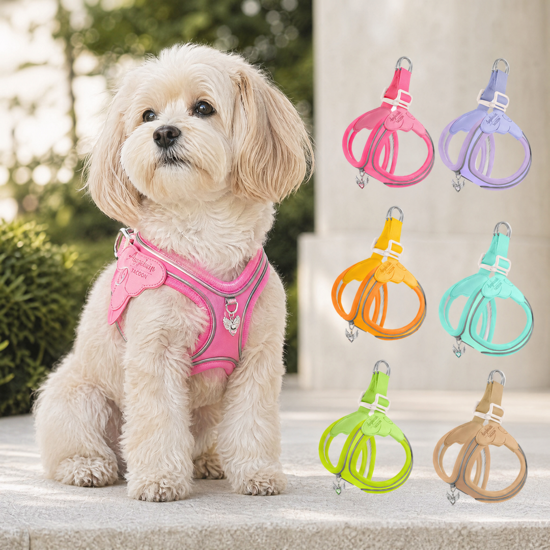 Coleira & Guia Pet Comfort - Pet Premium™