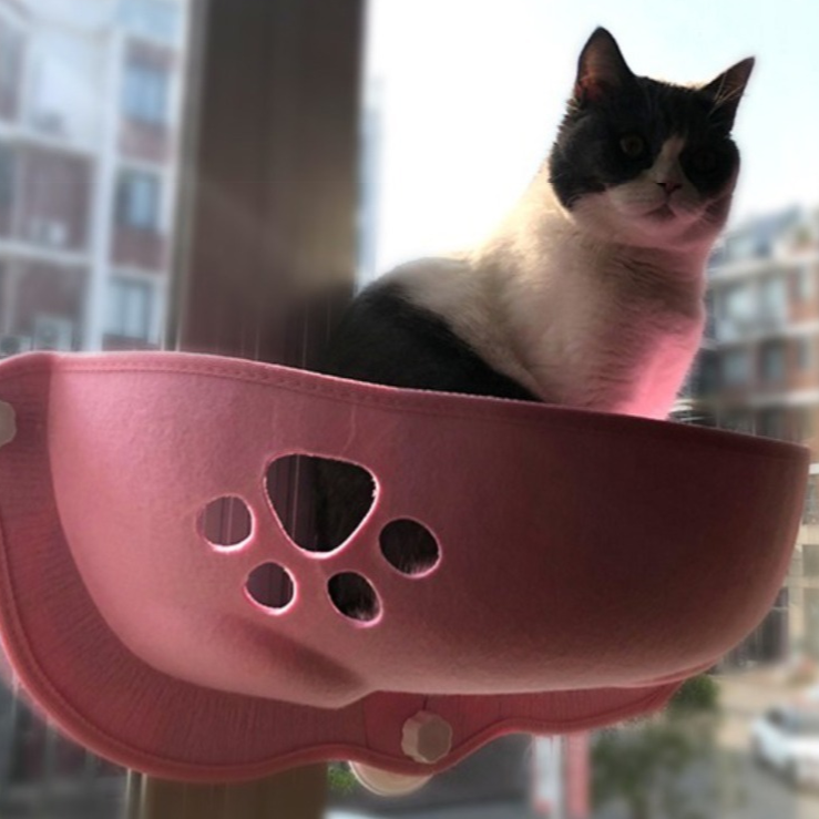 Cama Suspensa para Gato e Cachorro com Ventosa - Pet Premium™
