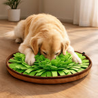 Tapete Olfativo Pet Bro – Snuffle Mat para Alimentação Lenta, Treino e Alívio do Estresse - comprar online