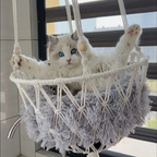 Cama Suspensa Artesanal para Gatos Estilo Rede – Pet Premium™ | Conforto Natural e Descanso Elevado