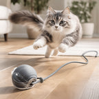 Bola Inteligente 3 Modos Pet Bro – Diversão, Movimento e Estímulo para o Seu Gato! - comprar online