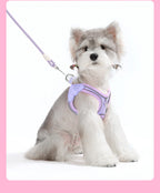 Coleira & Guia Pet Comfort - Pet Premium™
