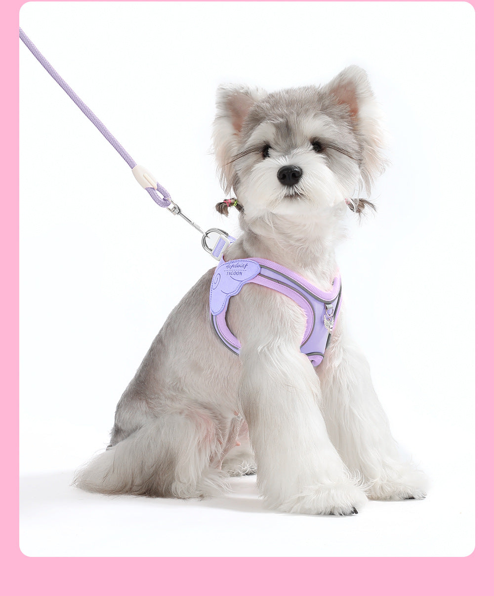 Coleira & Guia Pet Comfort - Pet Premium™