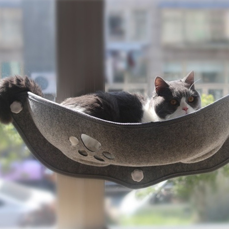 Cama Suspensa para Gato e Cachorro com Ventosa - Pet Premium™