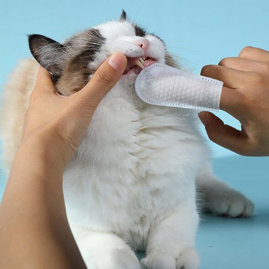 Lenço de Limpeza Dental para Cães e Gatos - Pet Premium™