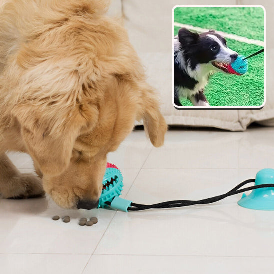 Brinquedo de Limpeza Dental e Alívio da Ansiedade para Cães - Pet Premium™