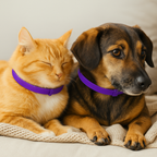 Coleira Calmante Pet Premium™  – Para Ansiedade e Estresse em Cães e Gatos