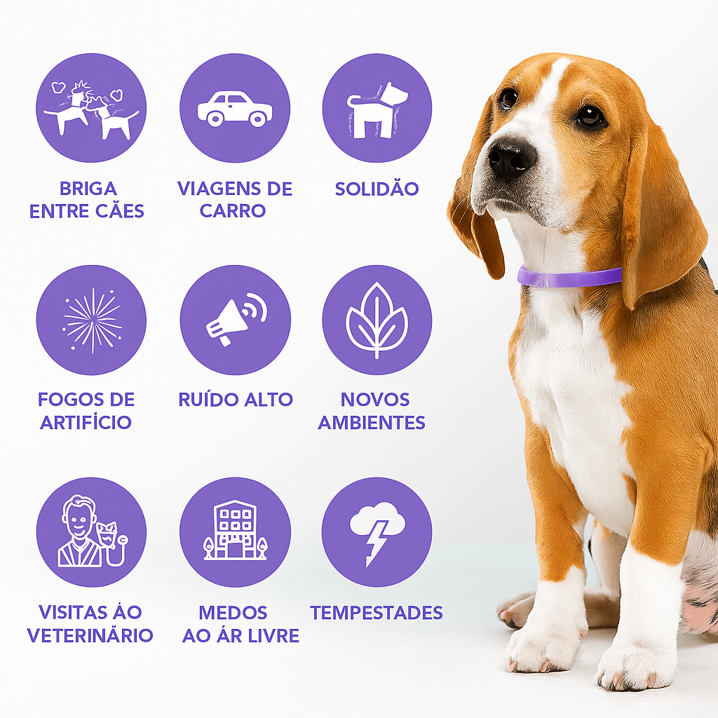 Coleira Calmante Pet Premium™  – Para Ansiedade e Estresse em Cães e Gatos