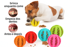 Bola Mordedora de petiscos Anti-Ansiedade - Pet Premium™