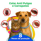 Coleira Anti Pulgas, Carrapatos e Mosquitos 100% Natural – Proteção até 8 Meses | Pet Premium™