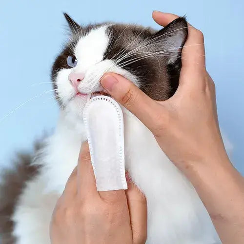 Lenço de Limpeza Dental para Cães e Gatos - Pet Premium™