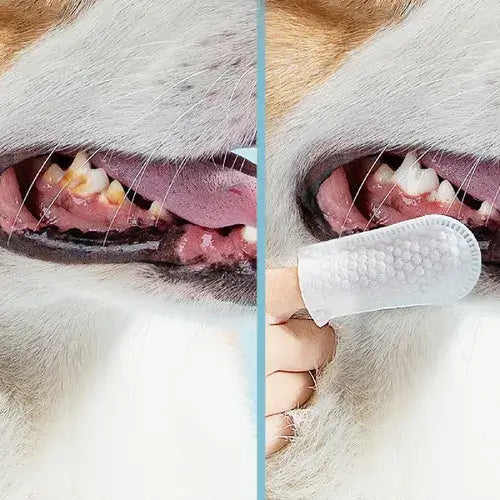 Lenço de Limpeza Dental para Cães e Gatos - Pet Premium™