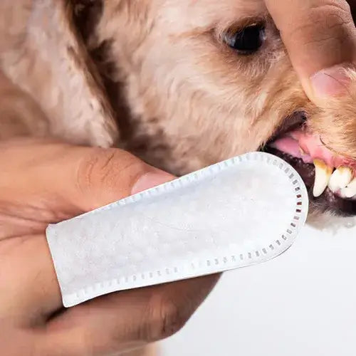 Lenço de Limpeza Dental para Cães e Gatos - Pet Premium™