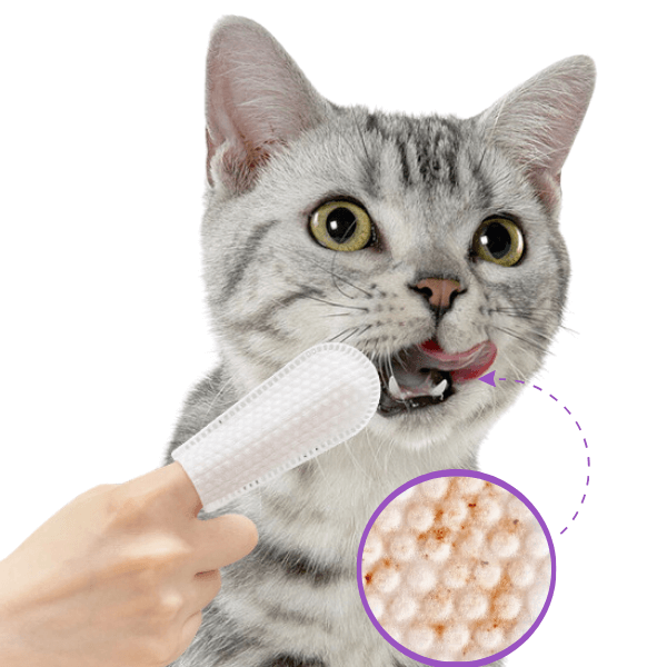 Lenço de Limpeza Dental para Cães e Gatos - Pet Premium™