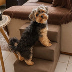 Escada 3 Degraus Impermeável em Suede - Pet Premium™