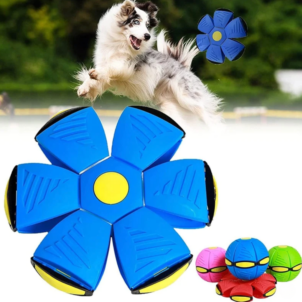 Bola Mágica Interativa para Cães e Gatos – Diversão Garantida | ForPatas