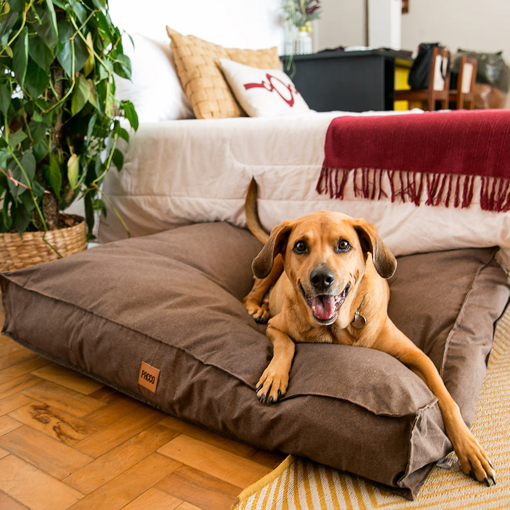 Almofada Para Cachorro Futon Ecotec - Pet Premium™