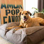 Almofada Para Cachorro Futon Ecotec - Pet Premium™