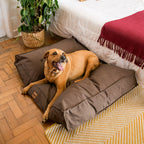 Almofada Para Cachorro Futon Ecotec - Pet Premium™