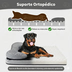 Cama Sofá Ortopédica para Cachorro de Médio e Grande Porte – Pet Premium™ | Alívio Articular e Conforto Premium