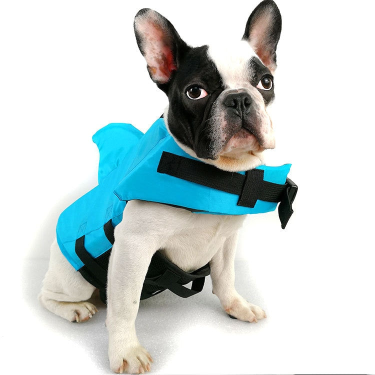 Colete Salva-Vidas Tubarão - Pet Premium™