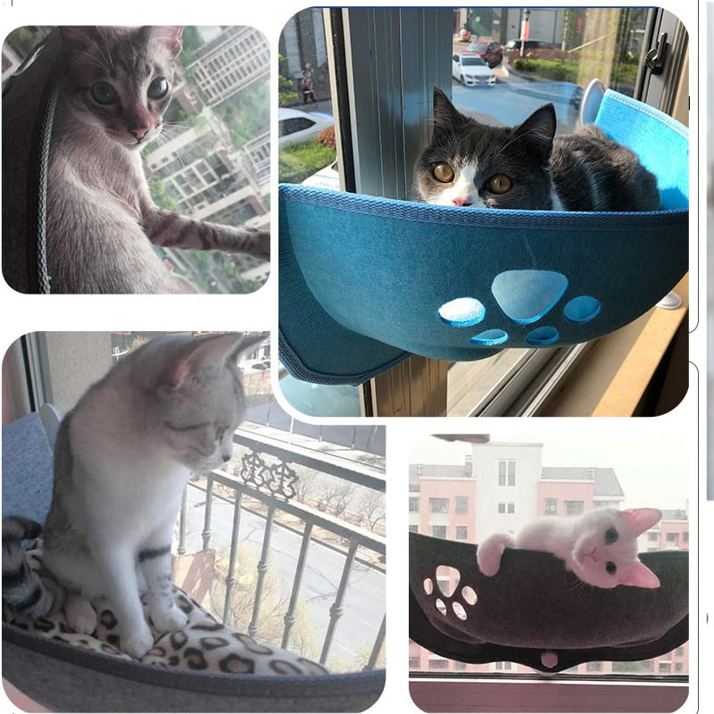 Cama Suspensa para Gato e Cachorro com Ventosa - Pet Premium™