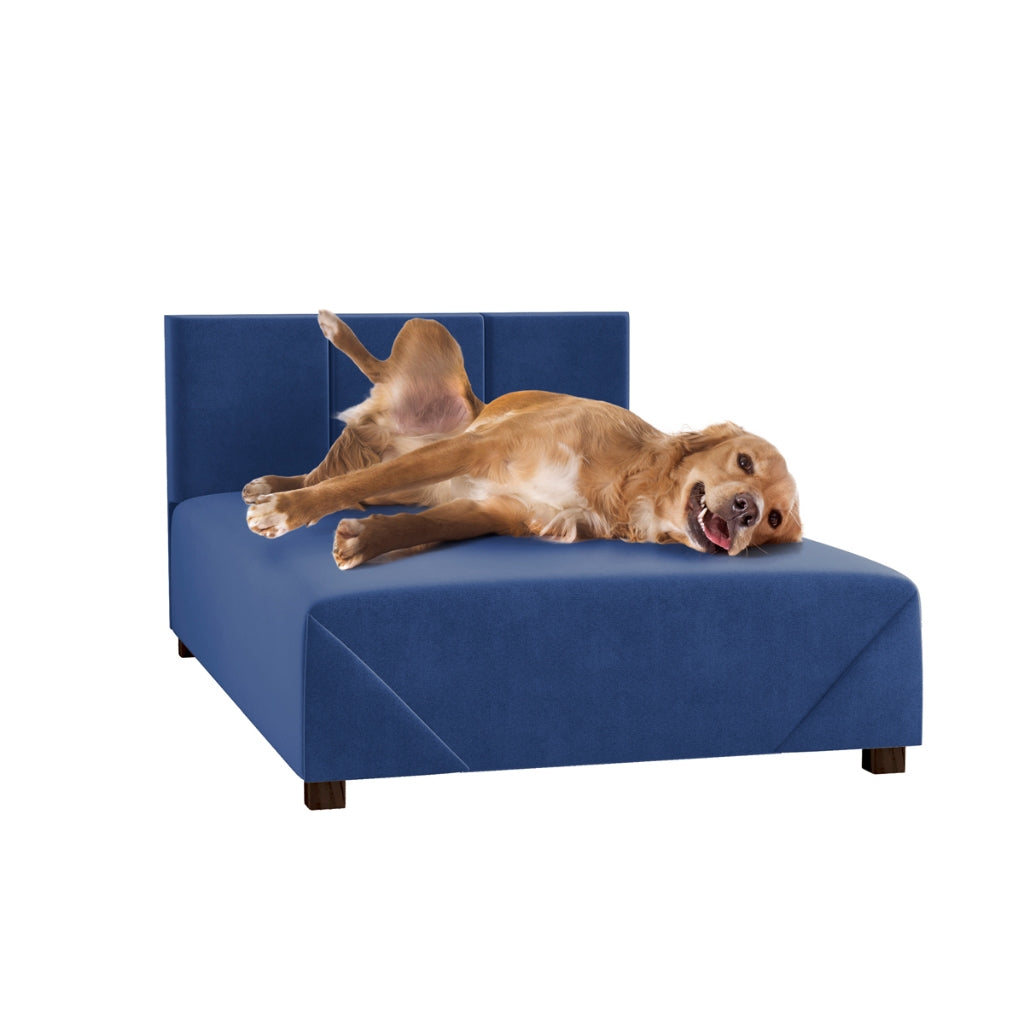 Cama Box Comfort | Firme com Estrutura de Madeira para Cachorro e Gato - Pet Premium™