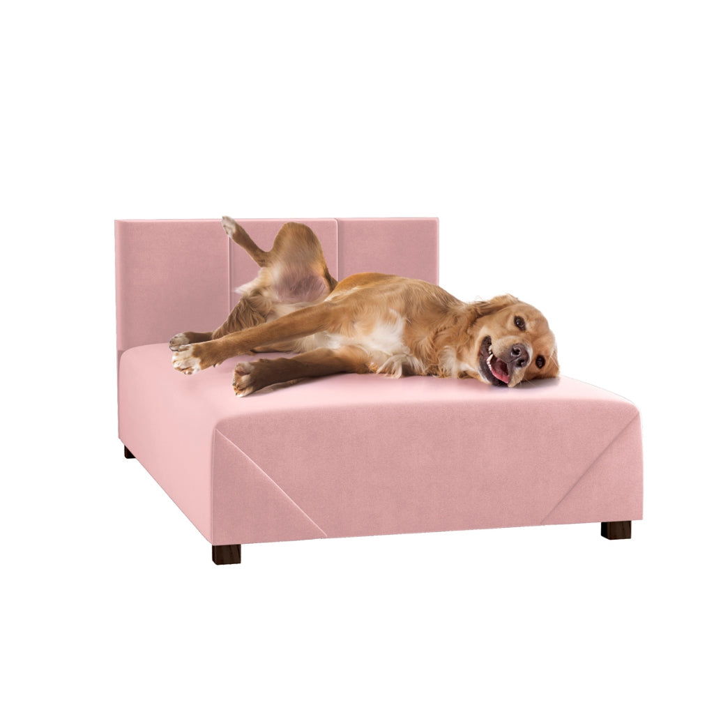Cama Box Comfort | Firme com Estrutura de Madeira para Cachorro e Gato - Pet Premium™
