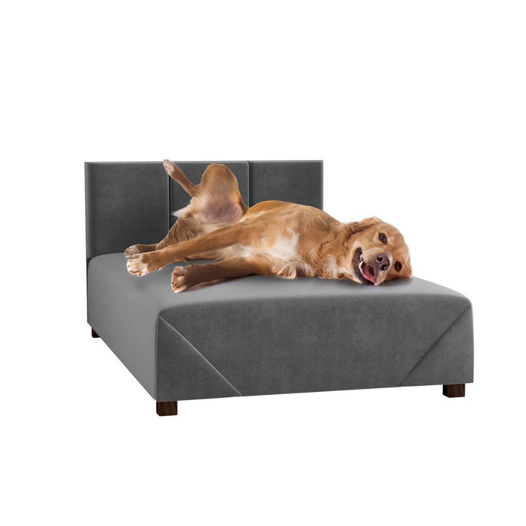 Cama Box Comfort | Firme com Estrutura de Madeira para Cachorro e Gato - Pet Premium™