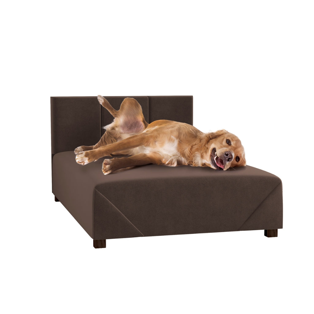 Cama Box Comfort | Firme com Estrutura de Madeira para Cachorro e Gato - Pet Premium™