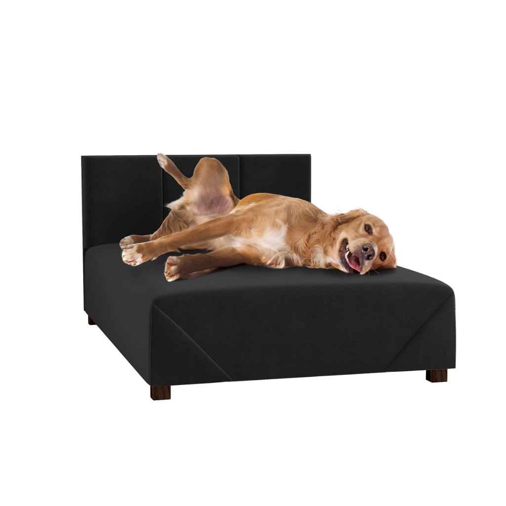 Cama Box Comfort | Firme com Estrutura de Madeira para Cachorro e Gato - Pet Premium™