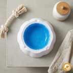 Tigela Gelada para Cães e Gatos – Água Sempre Fresquinha - Pet Premium™
