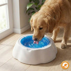Tigela Gelada para Cães e Gatos – Água Sempre Fresquinha - Pet Premium™