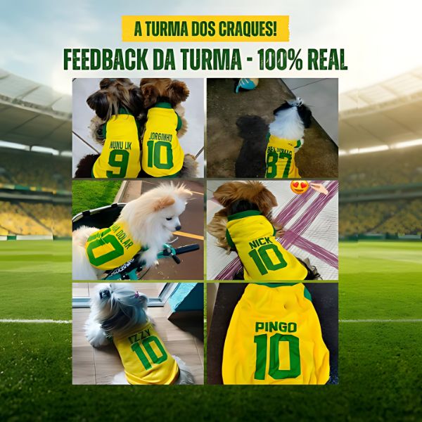 Roupinha Personalizada Copa do Mundo Brasil | Com Nome e Número para Cachorro e Gato Tecido Respirável - Pet Premium™