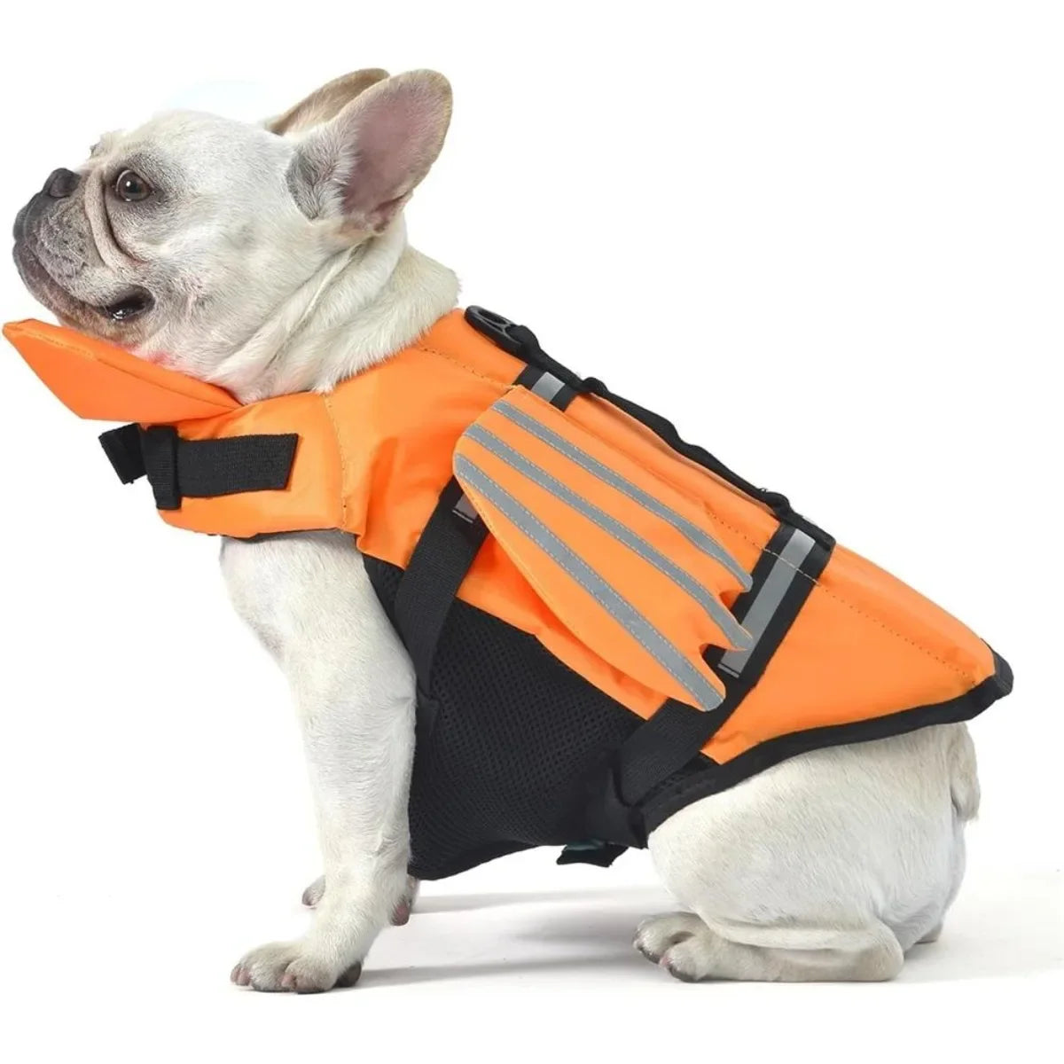 Colete Salva-Vidas Pet - Pet Premium™