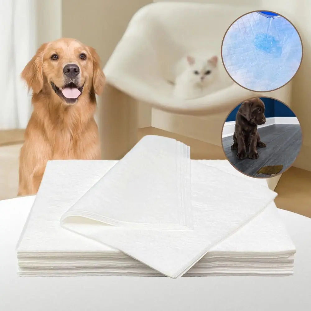 Papel Toalha Ultra Absorvente XixiPet 50 Unidades - Pet Premium™