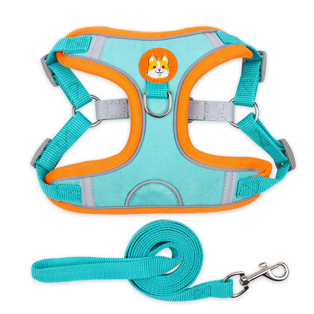Coleira Ajustável com Guia 150cm em Malha Respirável para Cachorro e Gato – Pet Premium™ | Conforto, Controle e Estilo