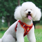 Coleira Ajustável com Guia 150cm em Malha Respirável para Cachorro e Gato – Pet Premium™ | Conforto, Controle e Estilo