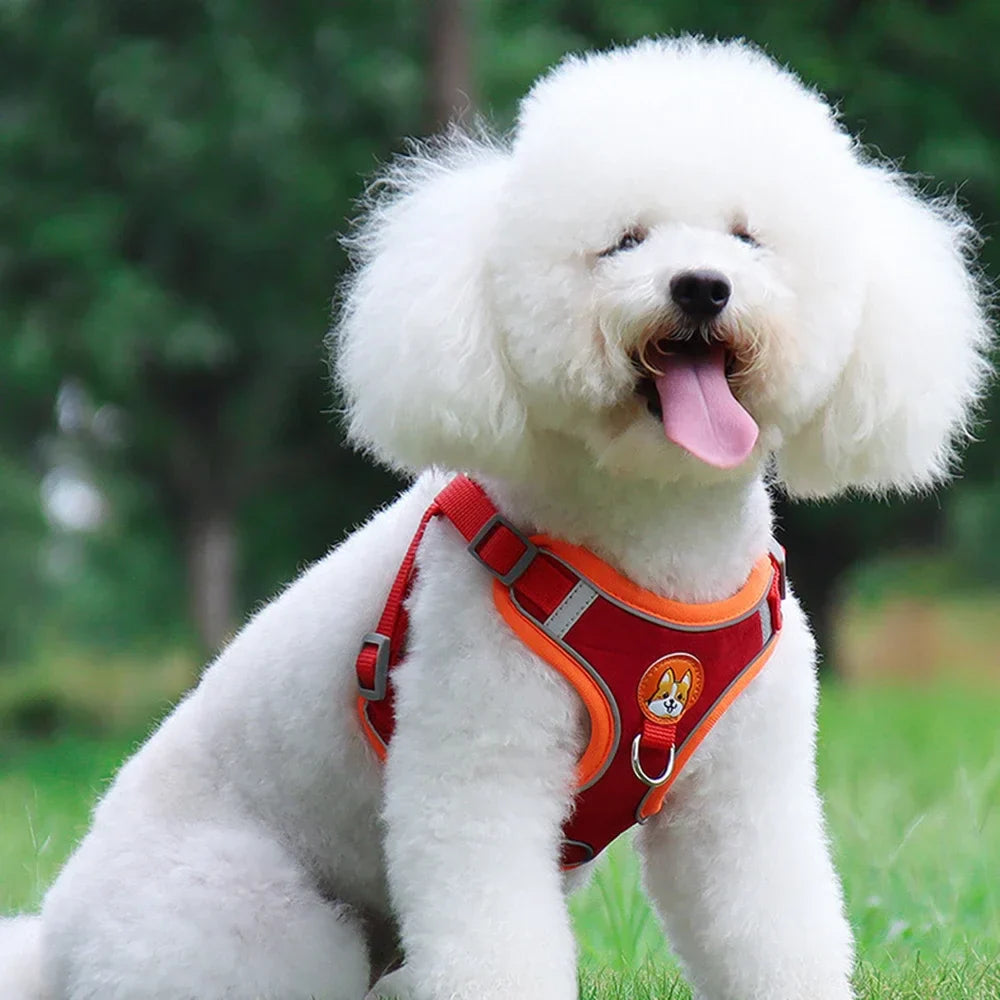 Coleira Ajustável com Guia 150cm em Malha Respirável para Cachorro e Gato – Pet Premium™ | Conforto, Controle e Estilo