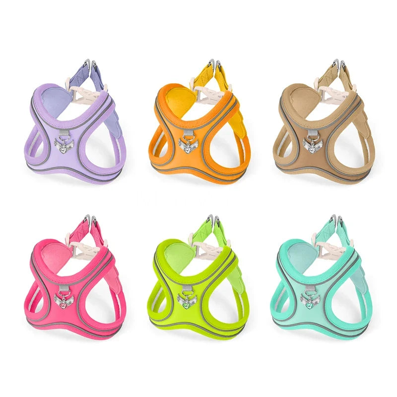 Coleira & Guia Pet Comfort - Pet Premium™