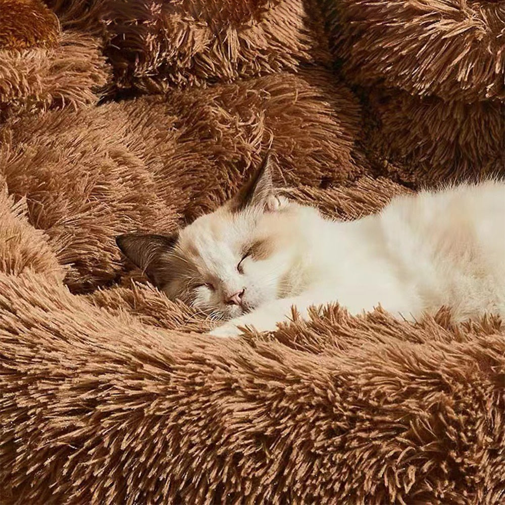 Cama Anti-Ansiedade Formato Pata para Cachorro e Gato - Pet Premium™
