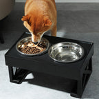 Tigela Elevada com Ajuste de Altura - Pet Premium™