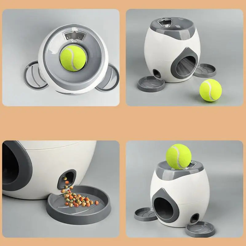 Lançador Automático Interativo - Pet Premium™