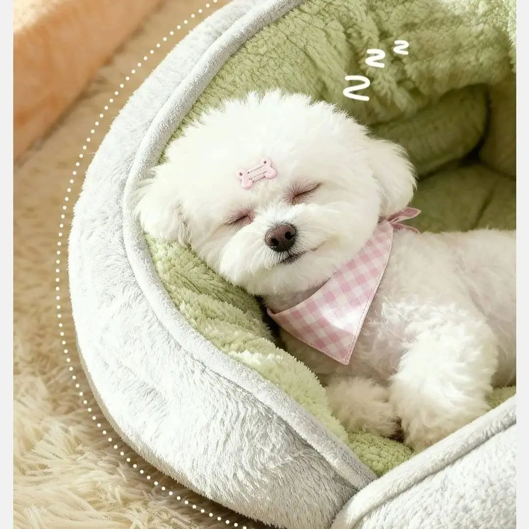 Caminha Pet Zen - Pet Premium™