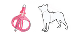 Coleira & Guia Pet Comfort - Pet Premium™