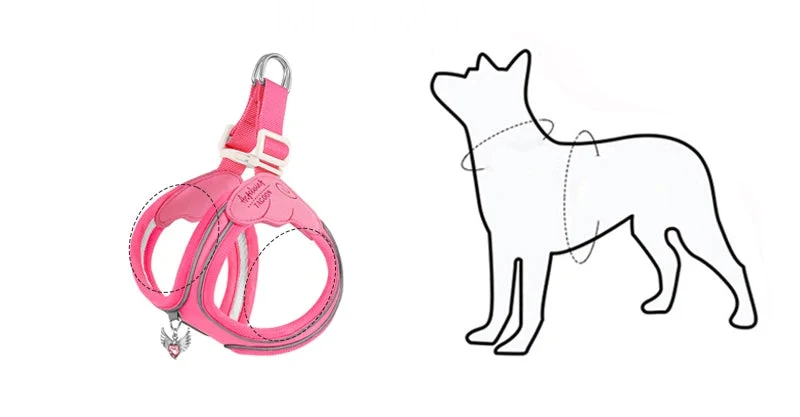 Coleira & Guia Pet Comfort - Pet Premium™