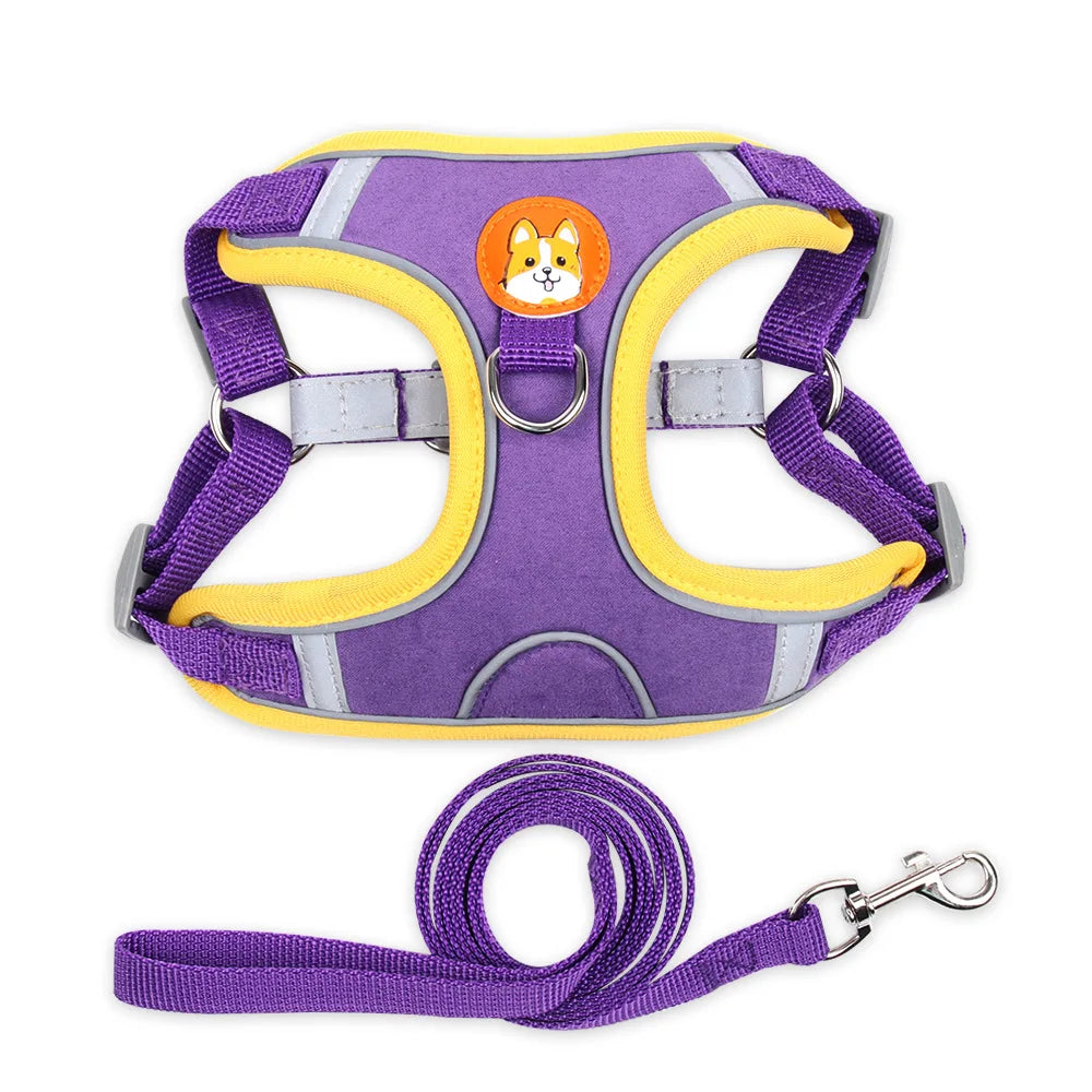 Coleira Ajustável com Guia 150cm em Malha Respirável para Cachorro e Gato – Pet Premium™ | Conforto, Controle e Estilo