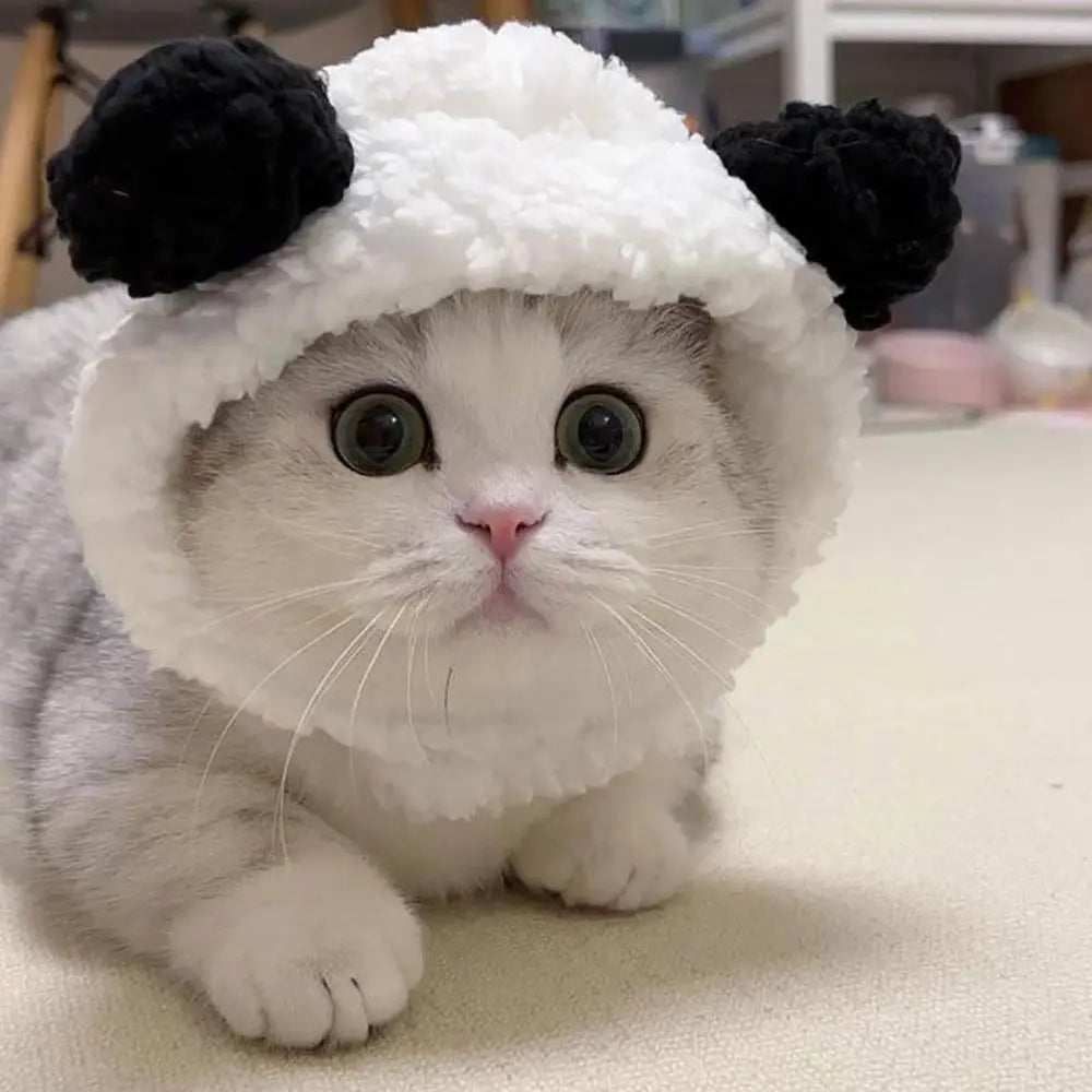 Gorro Pet Ursinho - Pet Premium™